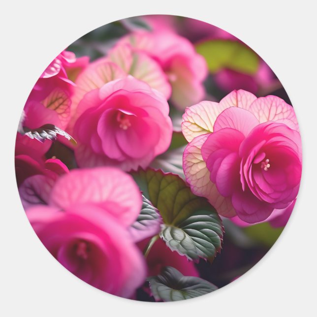 Romantic Floral Begonia Pattern Classic Round Sticker (Front)