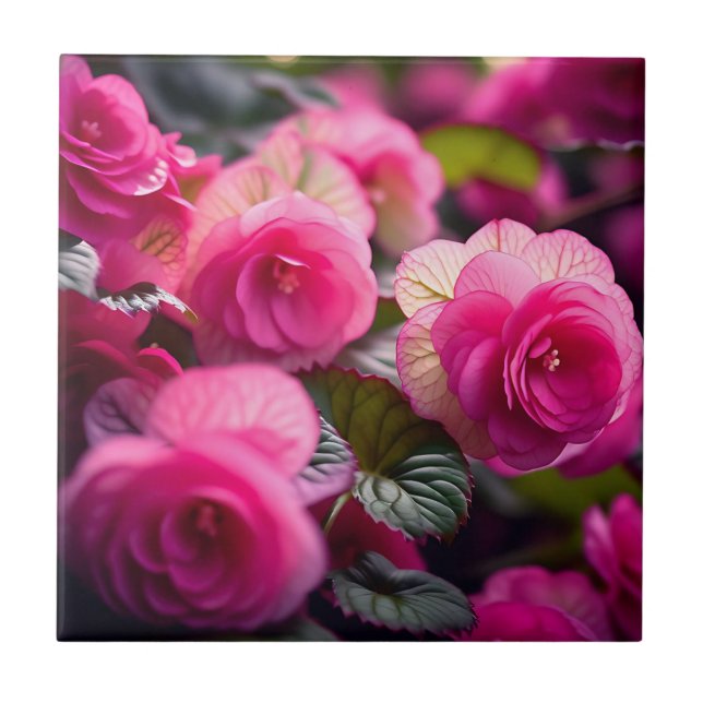 Romantic Floral Begonia Pattern Tile (Front)
