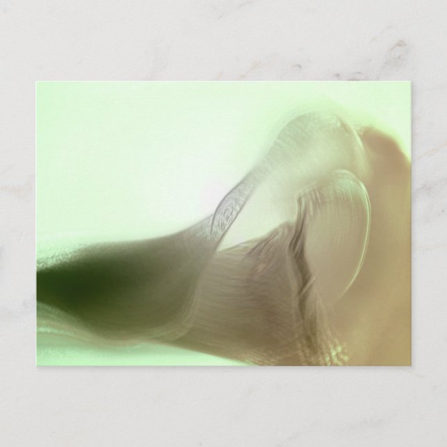 Romantic Flower Detail Postcard (Front)