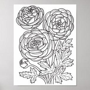 Romantic Flowers - Advanced Colouring Page Poster