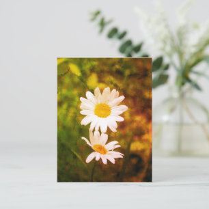 Romantic Flowers – Botanical Daisy Сouple Postcard