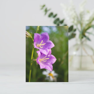 Romantic Flowers – Botanical Fantasy Boho Postcard