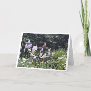 Romantic Frog Prince and Flowers Blank Card
