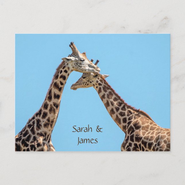 Romantic Giraffe Hugs Personalised Postcard (Front)