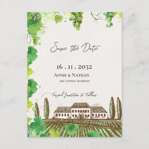 Romantic Grapevine Wine Country Vineyard Wedding  Announcement Postcard