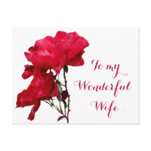 Romantic Happy Valentine red rose floral chic love