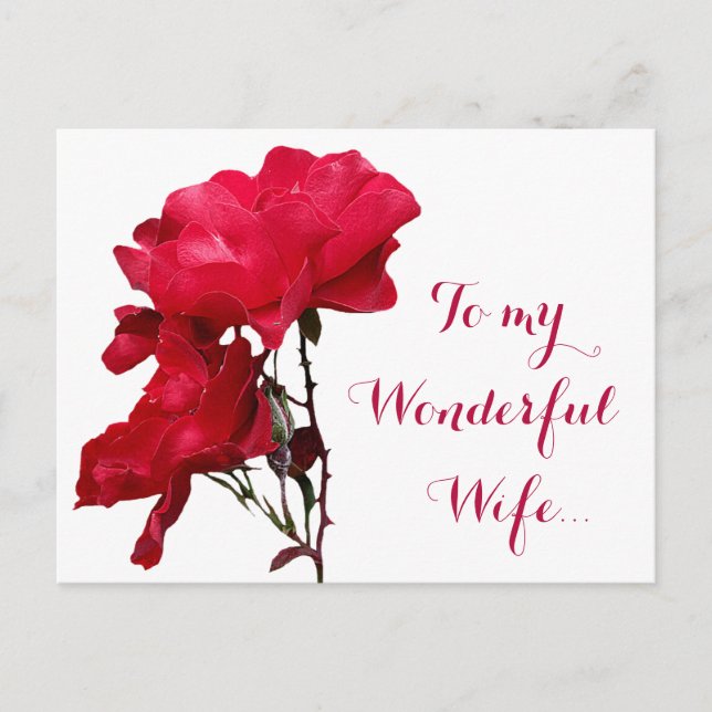 Romantic Happy Valentine red rose floral chic love Postcard (Front)