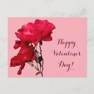 Romantic Happy Valentine red rose flowers floral  Postcard