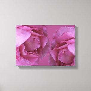 Romantic hot pink Valentine roses modern floral Canvas Print