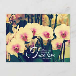 Romantic inspiration quote postcard