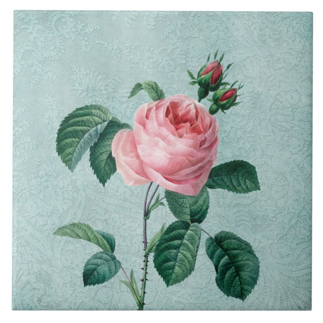 Romantic Lace Rose Tile (Front)