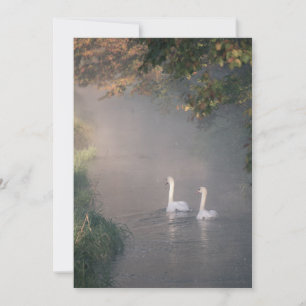 Romantic Lakeside Water Swan Wedding Invitation