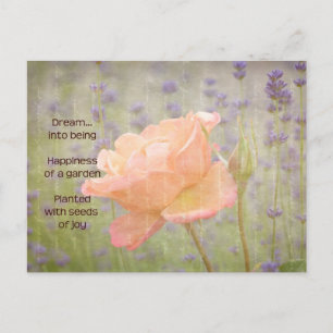 Romantic Lavender and Rose Postcard