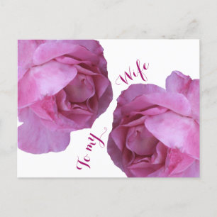 Romantic love for wife pretty pink roses floral postcard