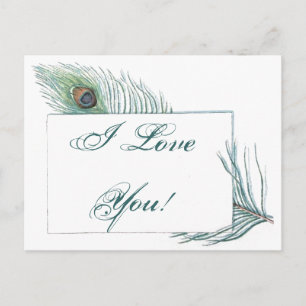 Romantic Love Quote Inspirational Peacock Postcard