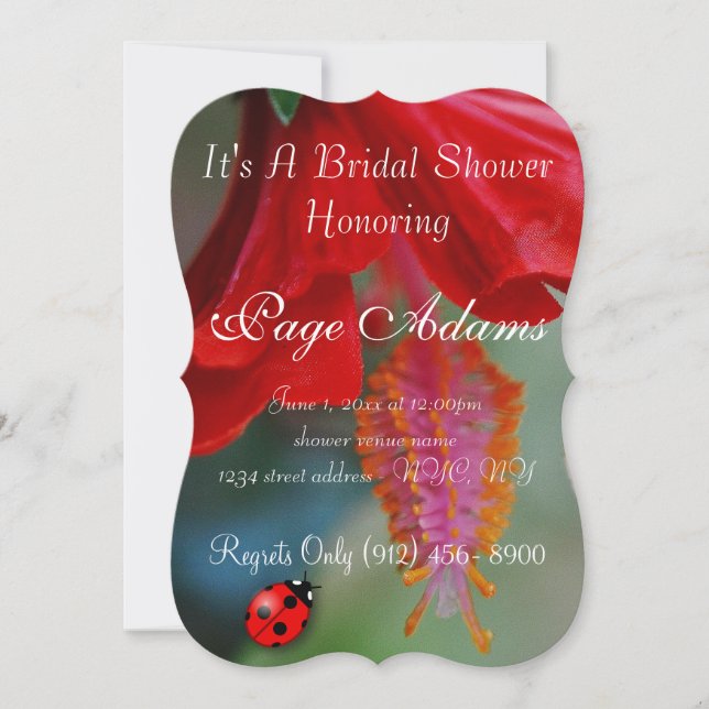 Romantic luck ladybug Bridal Shower Destiny Invitation (Front)