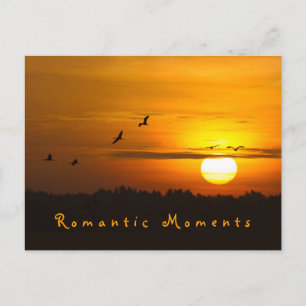 Romantic moments Cranes at sunrise photo with text Postcard