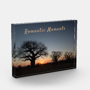 Romantic Moments Sunset Sacred Baobabs photo text  Block