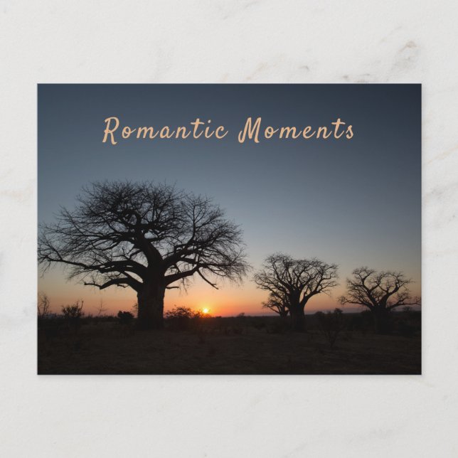 Romantic Moments Sunset Sacred Baobabs photo text  Postcard (Front)