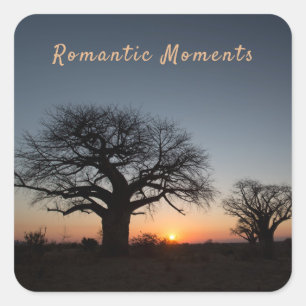 Romantic Moments Sunset Sacred Baobabs photo text Square Sticker