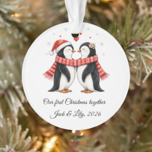 Romantic Penguins Couple Personalised Christmas Ornament