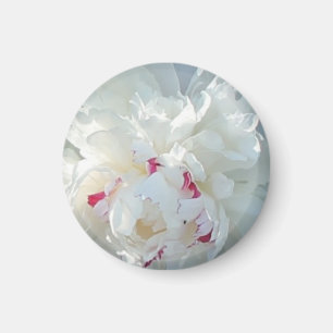 Romantic Peony Magnet