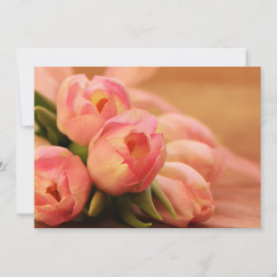 Romantic Pink Butterfly Tulip
