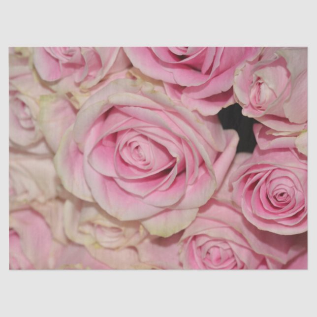 Romantic Pink Cream Roses Tissue Paper (Front)