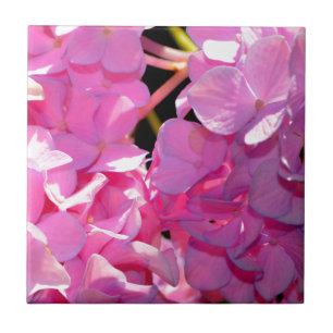Romantic pink floral elegant hydrangeas  tile