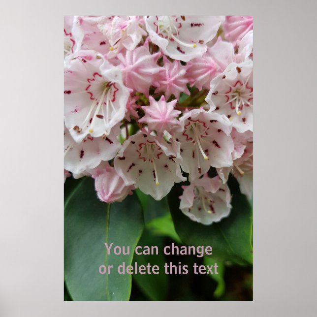 Romantic Pink Flowers Blossom Floral Photography Poster (Front)