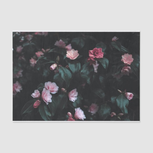 Romantic Pink Flowers on Dark Background Tissue Paper (Front)
