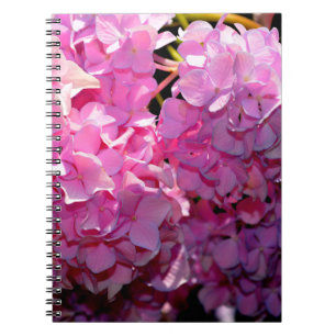 Romantic Pink Hydrangea Notebook