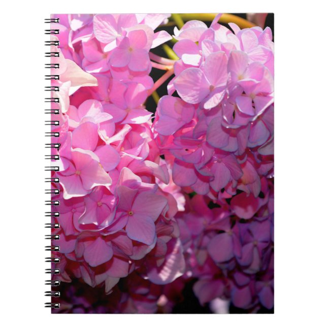Romantic Pink Hydrangea Notebook (Front)