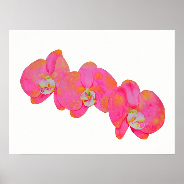 Romantic Pink Orchid watercolor painting  Poster (Front)