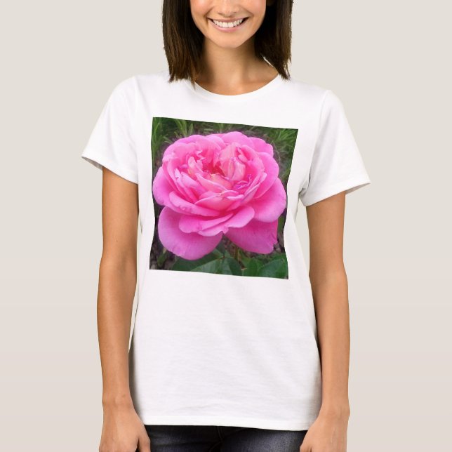 Romantic Pink Rose 'Leonardo Da Vinci'   T-Shirt (Front)