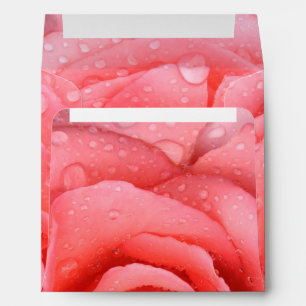 Romantic Pink Rose Water Drops Envelope