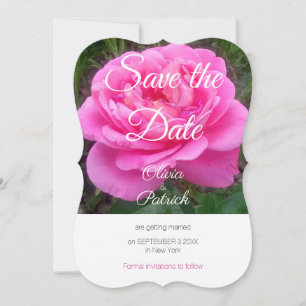 Romantic Pink Rose Wedding Save the Date  Invitation