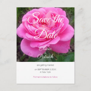 Romantic Pink Rose Wedding Save the Date  Postcard