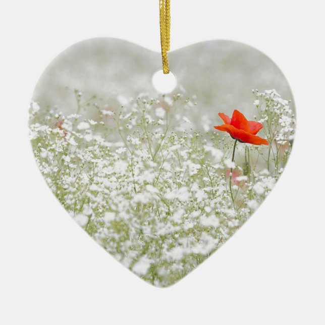 Romantic Poppy Flower Red White Meadow Ceramic Tree Decoration (Front)
