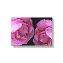Romantic pretty pink roses simple modern floral 