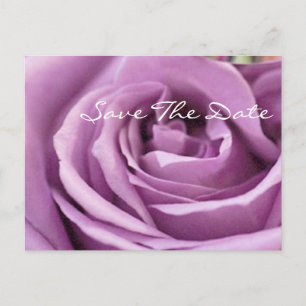 romantic purple rose floral bridal shower announcement postcard