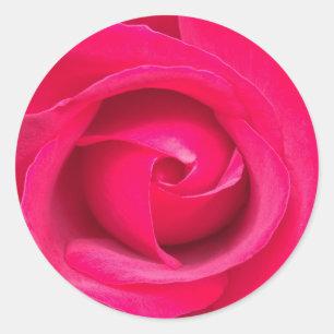 Romantic Red Pink Rose Classic Round Sticker