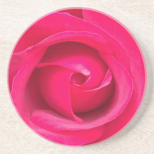 Romantic Red Pink Rose Coaster