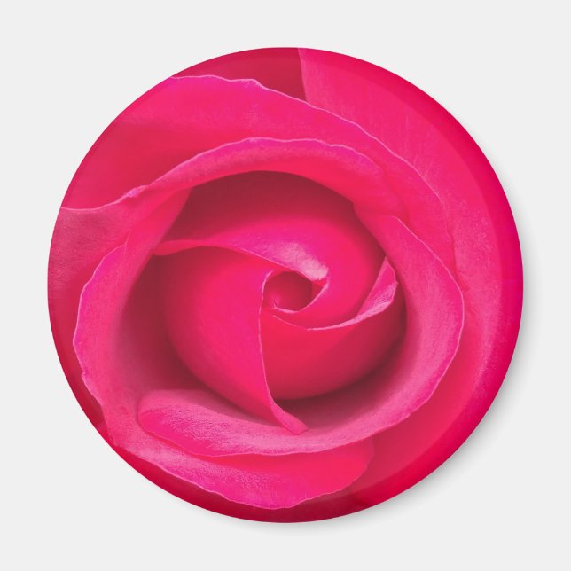 Romantic Red Pink Rose Magnet (Front)