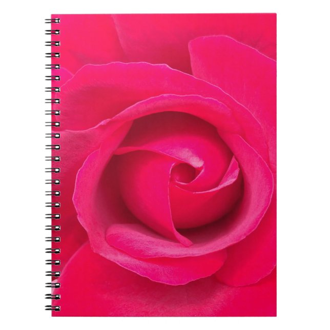 Romantic Red Pink Rose Notebook (Front)