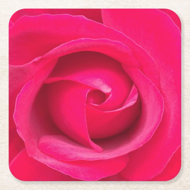 Romantic Red Pink Rose Square Paper Coaster (Front)