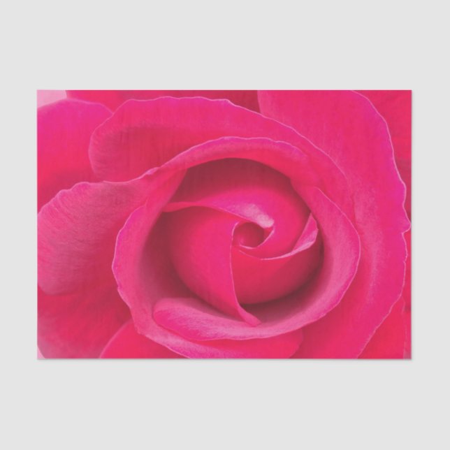 Romantic Red Pink Rose Tissue Paper (Front)