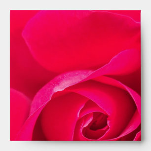 Romantic Red Pink Rose v2 Envelopes