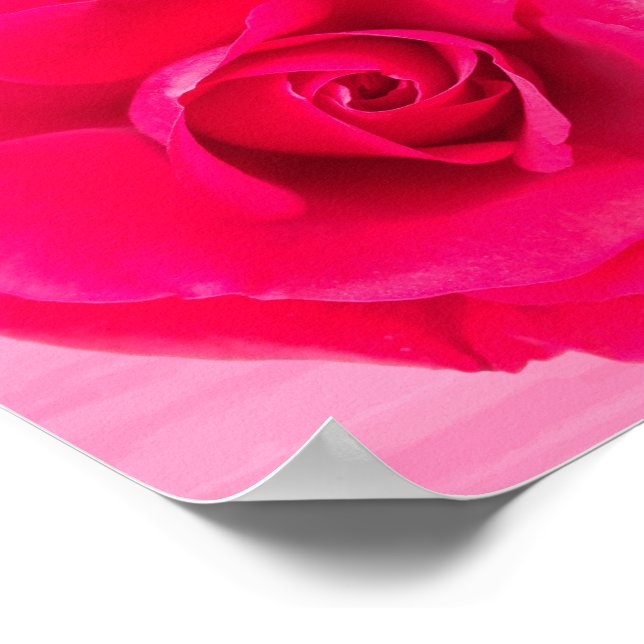 Romantic Red Pink Rose v2 Poster (Corner)