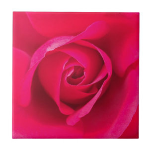 Romantic Red Pink Rose v2 Tile